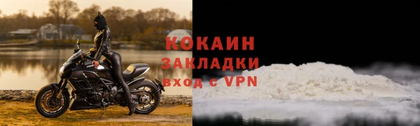 ПСИЛОЦИБИНОВЫЕ ГРИБЫ Алзамай