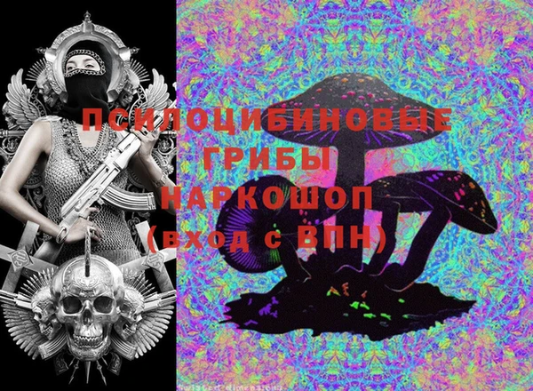 круглые Алексеевка