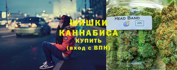 ПСИЛОЦИБИНОВЫЕ ГРИБЫ Алзамай