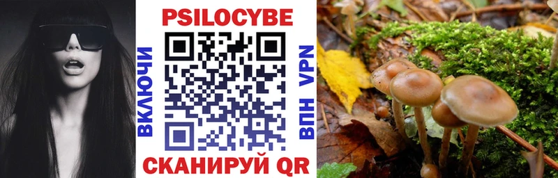 Псилоцибиновые грибы мицелий  как найти наркотики  Тара 